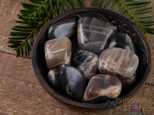 Gray MOONSTONE Tumbled Stones - Tumbled Crystals, Self Care, Healing Crystals and Stones, E1153-Throwin Stones