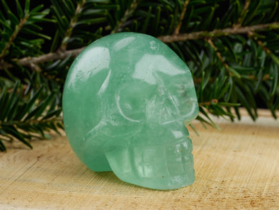 Green FLUORITE Crystal Skull - Gothic Home Decor, Memento Mori, Halloween Decor, Pastel Goth, E1311-Throwin Stones