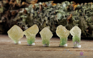 Green FLUORITE Raw Crystal Mushroom - Metaphysical, Home Decor, Raw Crystals and Stones, E1441-Throwin Stones