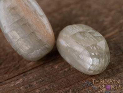 Green MOONSTONE Tumbled Stones - Tumbled Crystals, Self Care, Healing Crystals and Stones, E1150-Throwin Stones