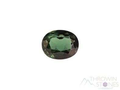 Green TOURMALINE Crystal - Oval Cut, Faceted - Birthstone, Gemstone, Crystal, Jewelry Making, 39651-Throwin Stones