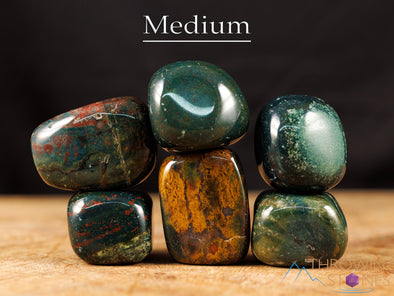 HELIOTROPE BLOODSTONE Tumbled Stones - Tumbled Crystals, Self Care, Healing Crystals and Stones, E0217-Throwin Stones