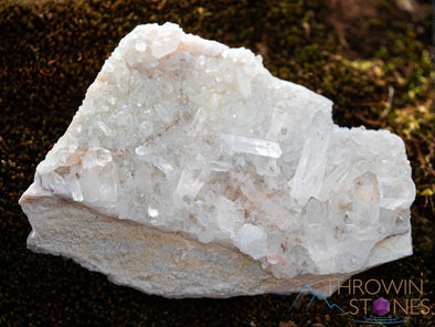 HIMALAYAN QUARTZ, Raw Crystal Cluster - Housewarming Gift, Home Decor, Raw Crystals and Stones, 39847-Throwin Stones