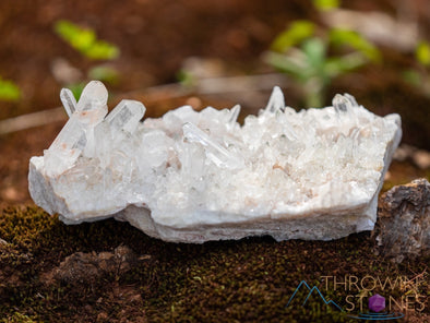 HIMALAYAN QUARTZ, Raw Crystal Cluster - Housewarming Gift, Home Decor, Raw Crystals and Stones, 39847-Throwin Stones