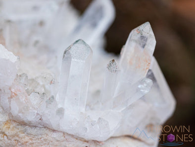 HIMALAYAN QUARTZ, Raw Crystal Cluster - Housewarming Gift, Home Decor, Raw Crystals and Stones, 39847-Throwin Stones