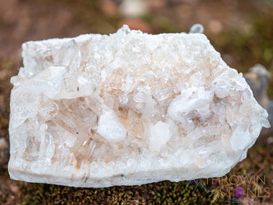 HIMALAYAN QUARTZ, Raw Crystal Cluster - Housewarming Gift, Home Decor, Raw Crystals and Stones, 39853-Throwin Stones