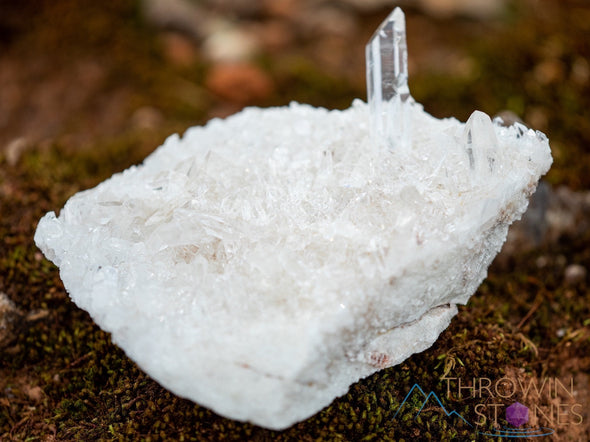 HIMALAYAN QUARTZ, Raw Crystal Cluster - Housewarming Gift, Home Decor, Raw Crystals and Stones, 39854-Throwin Stones