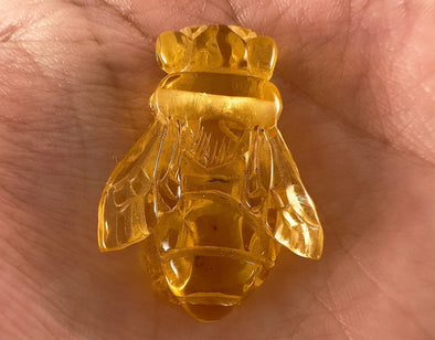 Honey AMBER Bee Pendant - Crystal Carving, Crystal Pendant, Handmade Jewelry, Healing Crystals and Stones, 54365-Throwin Stones