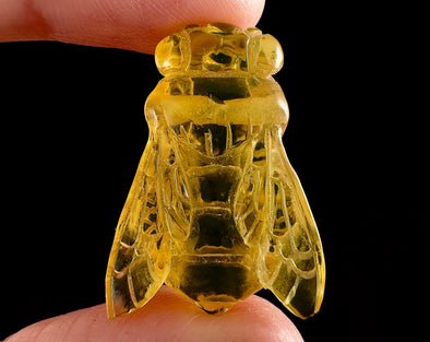 Honey AMBER Bee Pendant - Crystal Carving, Crystal Pendant, Handmade Jewelry, Healing Crystals and Stones, 54368-Throwin Stones