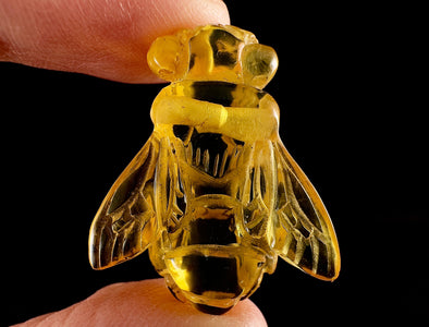 Honey AMBER Bee Pendant - Crystal Carving, Crystal Pendant, Handmade Jewelry, Healing Crystals and Stones, 54372-Throwin Stones