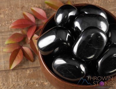 JET Tumbled Stones - Polished Petrified Wood Pebble, Fossilized Black Amber Gift, E0336-Throwin Stones