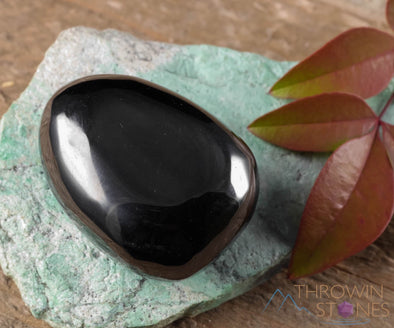 JET Tumbled Stones - Polished Petrified Wood Pebble, Fossilized Black Amber Gift, E0336-Throwin Stones