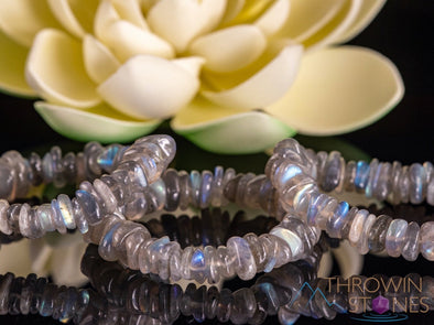 LABRADORITE Crystal Bracelet - Chip Beads, Petite - Beaded Bracelet, Handmade Jewelry, Healing Crystal Bracelet, E1693-Throwin Stones