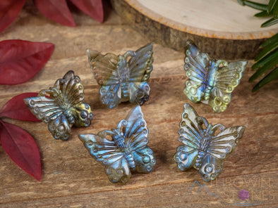 LABRADORITE Crystal Butterfly - Crystal Carving, Jewelry Making, Home Decor, E1615-Throwin Stones