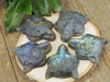 LABRADORITE Crystal Cabochon Wolf Head - Crystal Carving, Jewelry Making, Home Decor, E1577-Throwin Stones