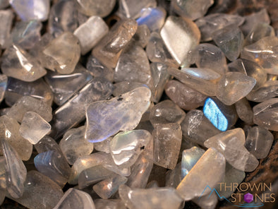 LABRADORITE Crystal Chips - Small Crystals, Gemstones, Jewelry Making, Tumbled Crystals, E1878-Throwin Stones