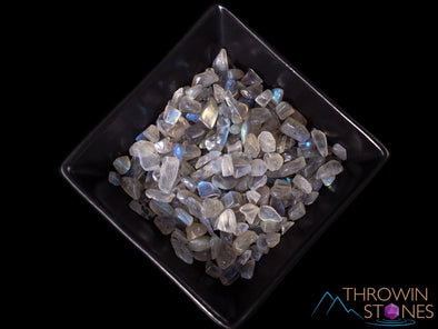 LABRADORITE Crystal Chips - Small Crystals, Gemstones, Jewelry Making, Tumbled Crystals, E1878-Throwin Stones
