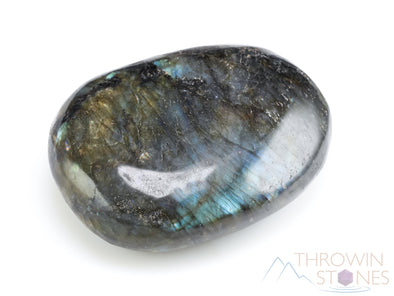 LABRADORITE Crystal Palm Stone - Large Thick Domed, Dark - Worry Stone, Self Care, Healing Crystals and Stones, E0934-Throwin Stones