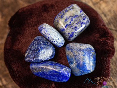 LAPIS LAZULI Tumbled Stones - Irregular - Tumbled Crystals, Self Care, Healing Crystals and Stones, E0884-Throwin Stones