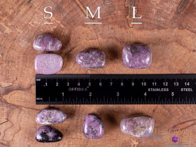 LEPIDOLITE Tumbled Stones - Tumbled Crystals, Self Care, Healing Crystals and Stones, E0036-Throwin Stones