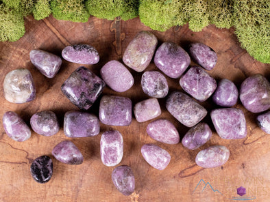 LEPIDOLITE Tumbled Stones - Tumbled Crystals, Self Care, Healing Crystals and Stones, E0036-Throwin Stones