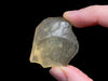 LIBYAN DESERT GLASS, Raw Crystal - Rare, 2A Grade, 12.5g - Metaphysical, Healing Crystals and Stones, 46829-Throwin Stones