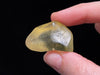 LIBYAN DESERT GLASS, Raw Crystal - Rare, 3A Grade, 15.1g - Metaphysical, Healing Crystals and Stones, 46990-Throwin Stones