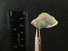 LIBYAN DESERT GLASS, Raw Crystal - Rare, 7.1g - Unique Gift, Home Decor, Raw Crystals and Stones, L0336-Throwin Stones