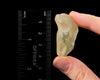 LIBYAN DESERT GLASS, Raw Crystal - Rare, B Grade - Raw Rocks and Minerals, Unique Gift, Home Decor, 52165-Throwin Stones