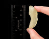 LIBYAN DESERT GLASS, Raw Crystal - Rare, B Grade - Raw Rocks and Minerals, Unique Gift, Home Decor, 52167-Throwin Stones