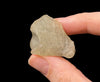 LIBYAN DESERT GLASS, Raw Crystal - Rare, B Grade - Raw Rocks and Minerals, Unique Gift, Home Decor, 52168-Throwin Stones