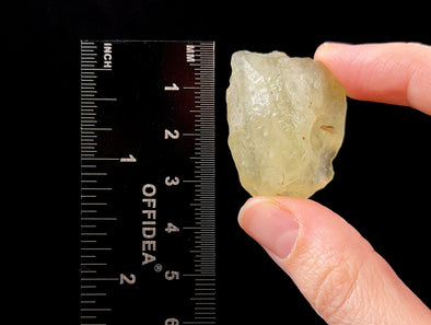 LIBYAN DESERT GLASS, Raw Crystal - Rare, B Grade - Raw Rocks and Minerals, Unique Gift, Home Decor, 52170-Throwin Stones