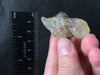 LIBYAN DESERT GLASS, Raw Crystal - Rare, Milky Green, 23.2g - Unique Gift, Home Decor, Raw Crystals and Stones, 49405-Throwin Stones