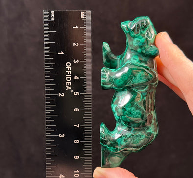 MALACHITE Crystal Lion - Crystal Carving, Housewarming Gift, Home Decor, Healing Crystals and Stones, 53113-Throwin Stones