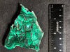 MALACHITE Crystal Slab - Green Malachite Stone, Jewelry Making, Unique Gift, Home Decor, 50467-Throwin Stones