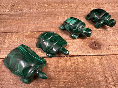 MALACHITE Crystal Turtle Family - Crystal Carving, Housewarming Gift, Home Decor, Healing Crystals and Stones, 53120-Throwin Stones