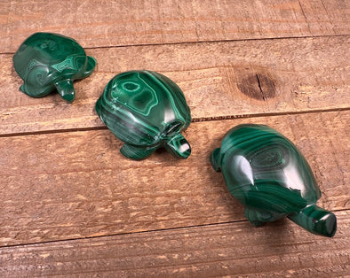 MALACHITE Crystal Turtle Family - Crystal Carving, Housewarming Gift, Home Decor, Healing Crystals and Stones, 53121-Throwin Stones