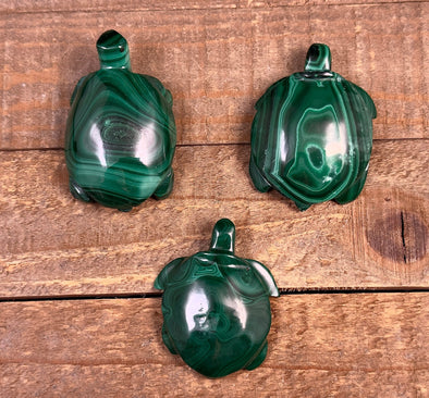 MALACHITE Crystal Turtle Family - Crystal Carving, Housewarming Gift, Home Decor, Healing Crystals and Stones, 53121-Throwin Stones