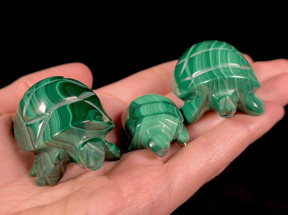 MALACHITE Crystal Turtles - Family Set - Crystal Carving, Housewarming Gift, Home Decor, Healing Crystals and Stones, 52213-Throwin Stones