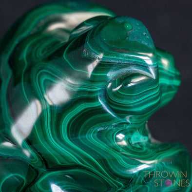 MALACHITE Gorilla, Stone Carving - Hand Carved, Housewarming Gift, Home Decor, Healing Crystals and Stones, 39726-Throwin Stones