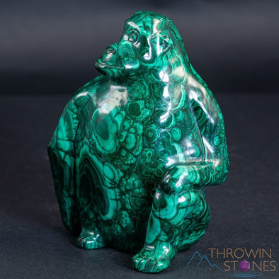 MALACHITE Gorilla, Stone Carving, Large - Hand Carved, Housewarming Gift, Home Decor, Healing Crystals and Stones, 39725-Throwin Stones