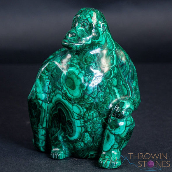MALACHITE Gorilla, Stone Carving, Large - Hand Carved, Housewarming Gift, Home Decor, Healing Crystals and Stones, 39725-Throwin Stones