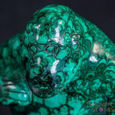 MALACHITE Gorilla, Stone Carving, Large - Hand Carved, Housewarming Gift, Home Decor, Healing Crystals and Stones, 39727-Throwin Stones