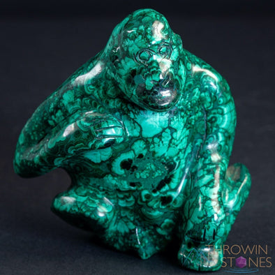 MALACHITE Gorilla, Stone Carving, Large - Hand Carved, Housewarming Gift, Home Decor, Healing Crystals and Stones, 39727-Throwin Stones