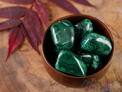 MALACHITE Tumbled Stone - Tumbled Crystals, Self Care, Healing Crystals and Stones, E1266-Throwin Stones