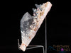 MESSINA QUARTZ w HEMATITE, Raw Crystal - Housewarming Gift, Home Decor, Raw Crystals and Stones, 39212-Throwin Stones