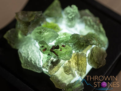 MOLDAVITE - Mini - Raw Moldavite Crystal, Genuine Moldavite Stone, E1849-Throwin Stones