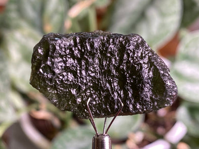 MOLDAVITE Raw Crystal - 10.4g - Raw Moldavite Crystal, Genuine Moldavite Stone, 44245-Throwin Stones