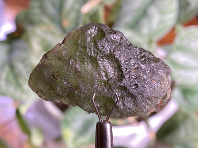 MOLDAVITE Raw Crystal - 10.4g - Raw Moldavite Crystal, Genuine Moldavite Stone, 44298-Throwin Stones