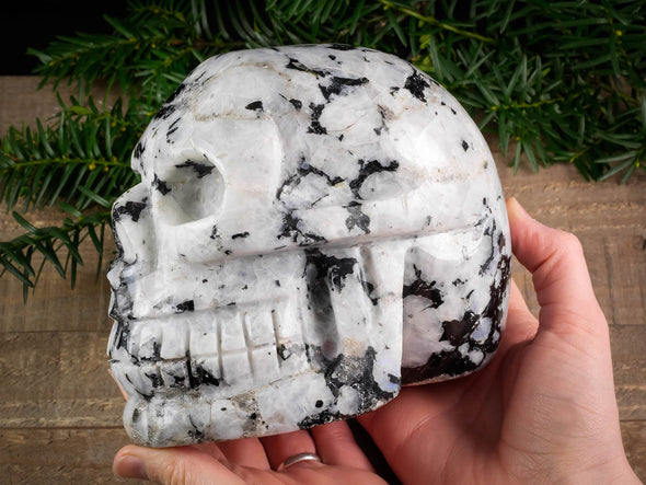 MOONSTONE Crystal Skull - Large - Gothic Home Decor, Memento Mori, Halloween Decor, Pastel Goth, 38766-Throwin Stones